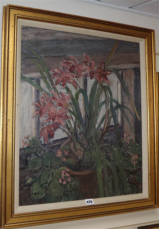 Paul Ayshford Lord Methuen (1886-1974) oil on canvas, Cymbidium orchid, 1950, signed, 61 x 51cm.